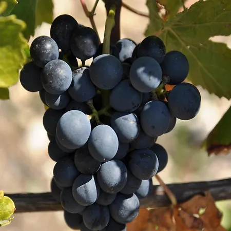 Secluded Stone Retreat Вилла *