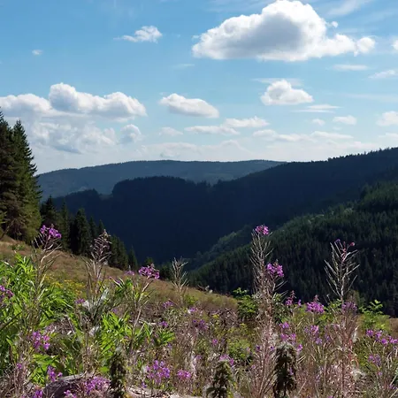 Secluded Stone Retreat Вилла