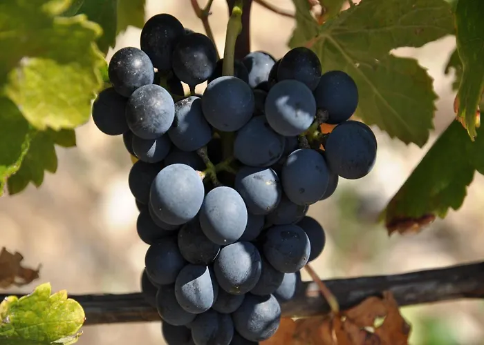 Secluded Stone Retreat Willa *